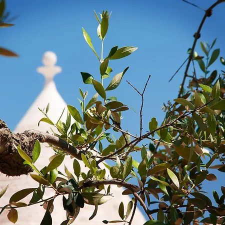 Villa Trulli Loco Locorotondo